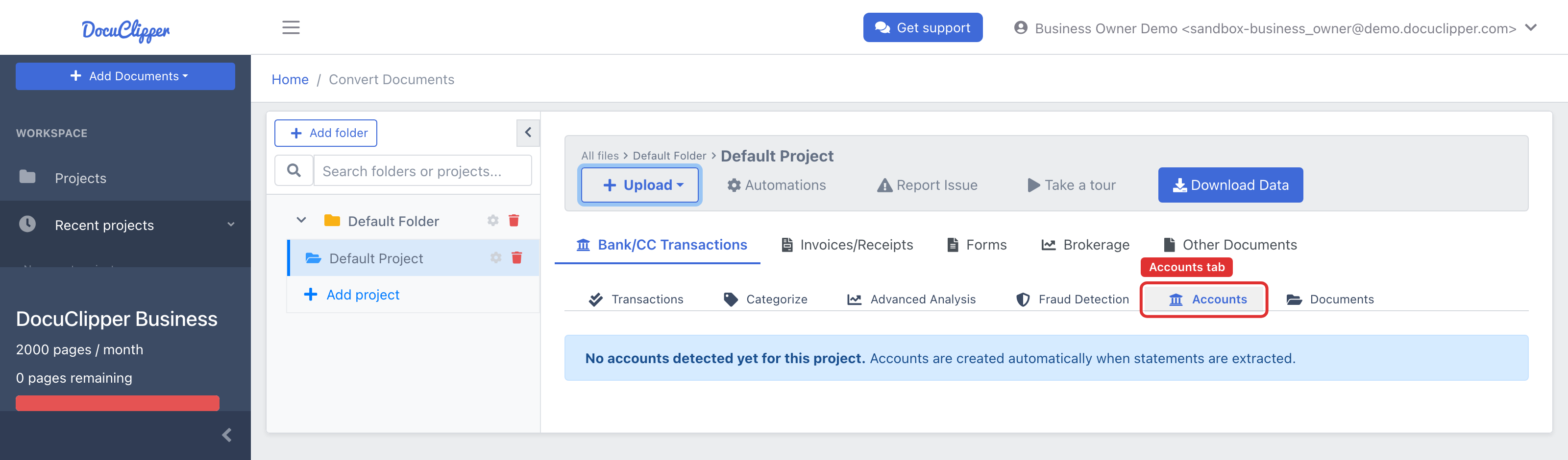 The Accounts tab in the Bank/CC project section nav, located between Fraud Detection and Documents