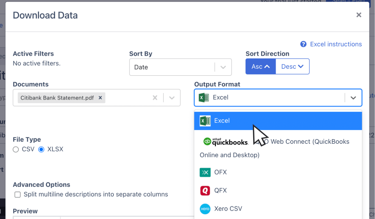 Export citibank bank statement as Excel