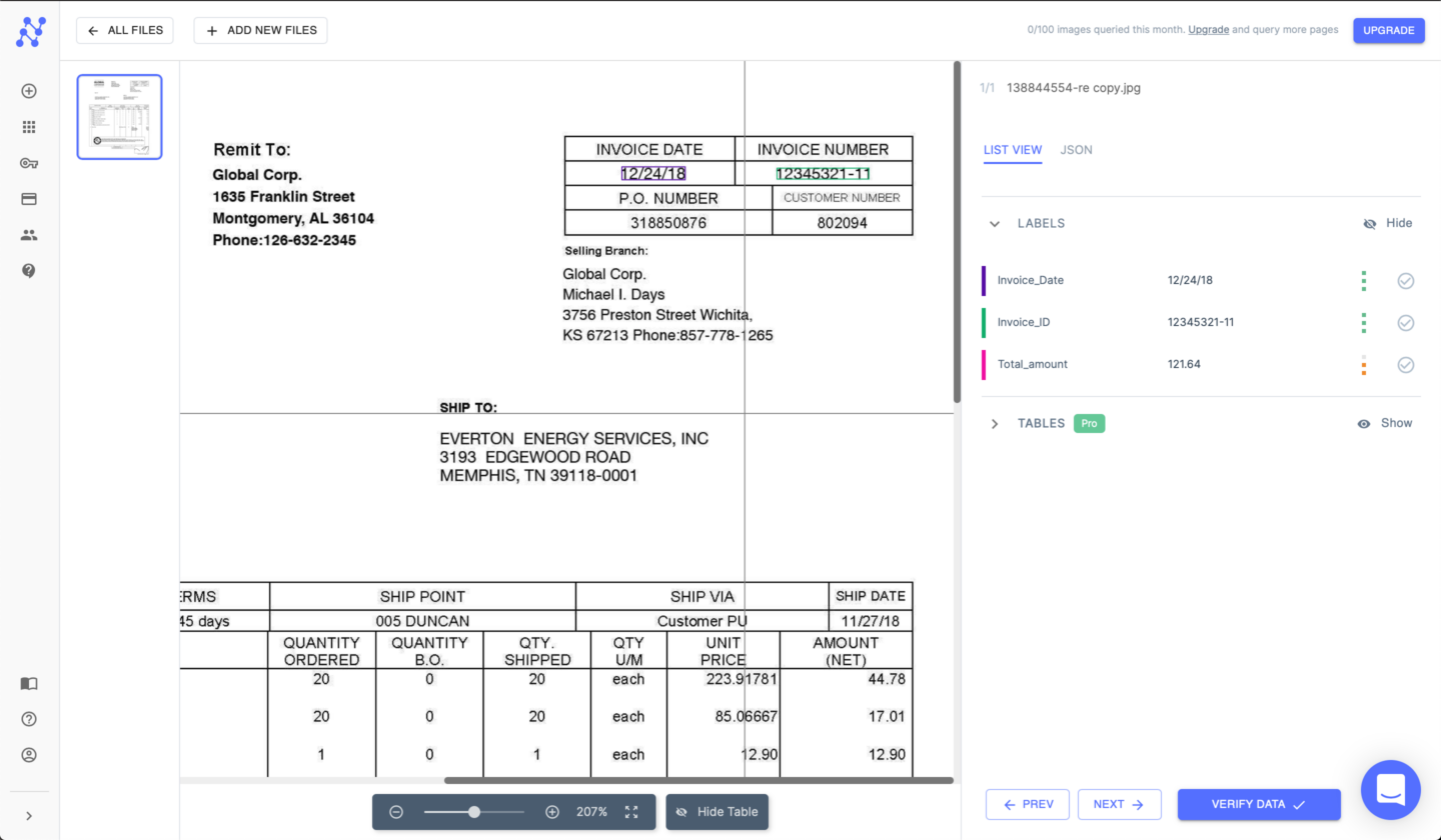 Nanonets interface
