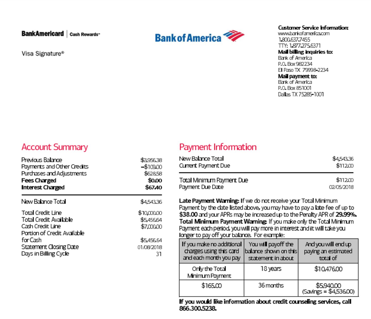 example of a real bank statement from bank of america